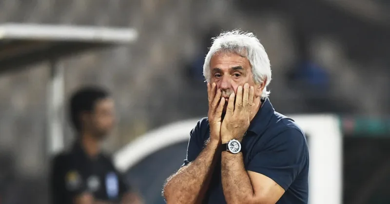 vaha halilhodzic