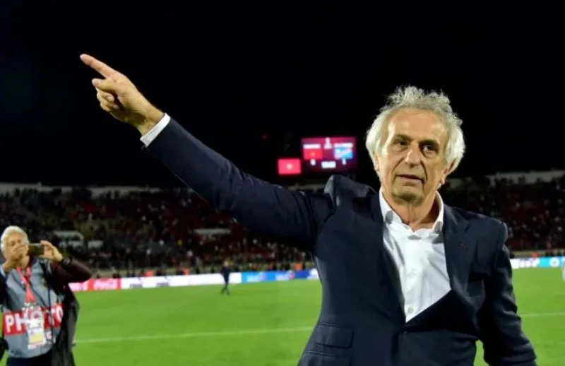 halihodzic