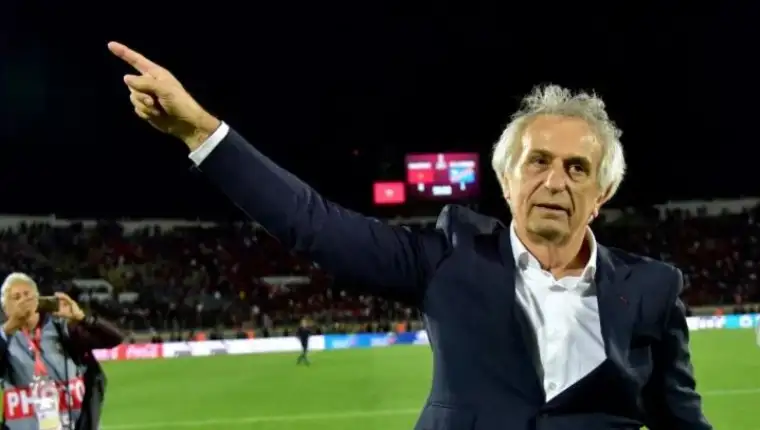 halihodzic
