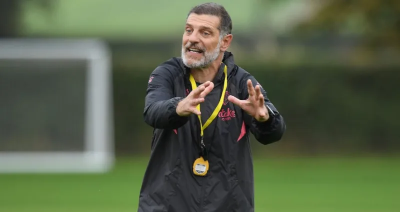 bilic