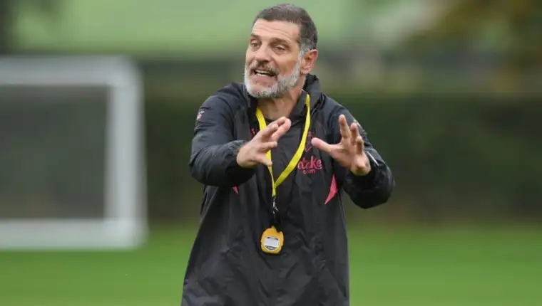 bilic