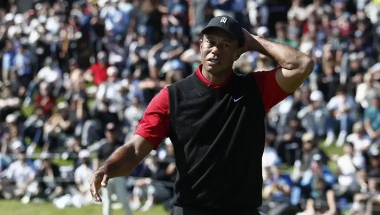 tiger woods