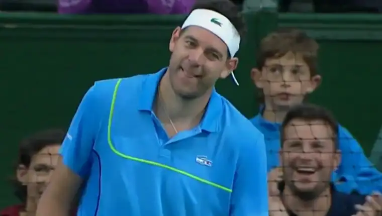 juan martin del potro
