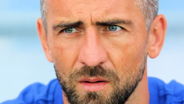 ibisevic