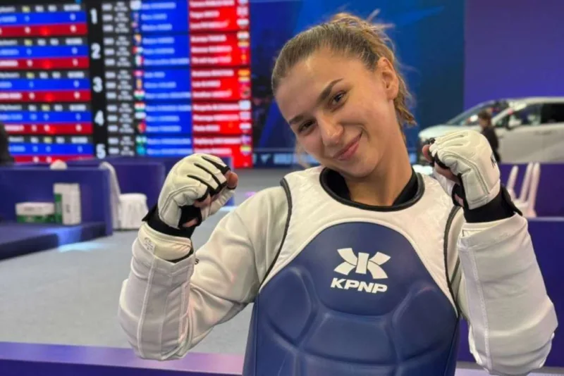 Dzejna hamzic