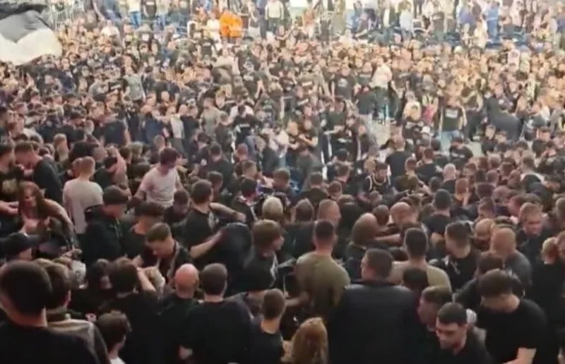 Tuca partizan