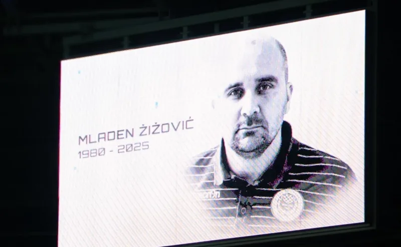Zizovic3