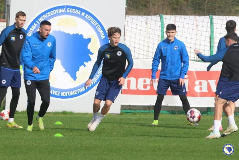 Mladi zmajevi