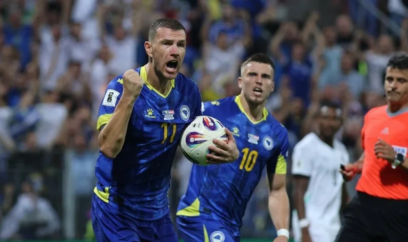 Dzeko demirovic