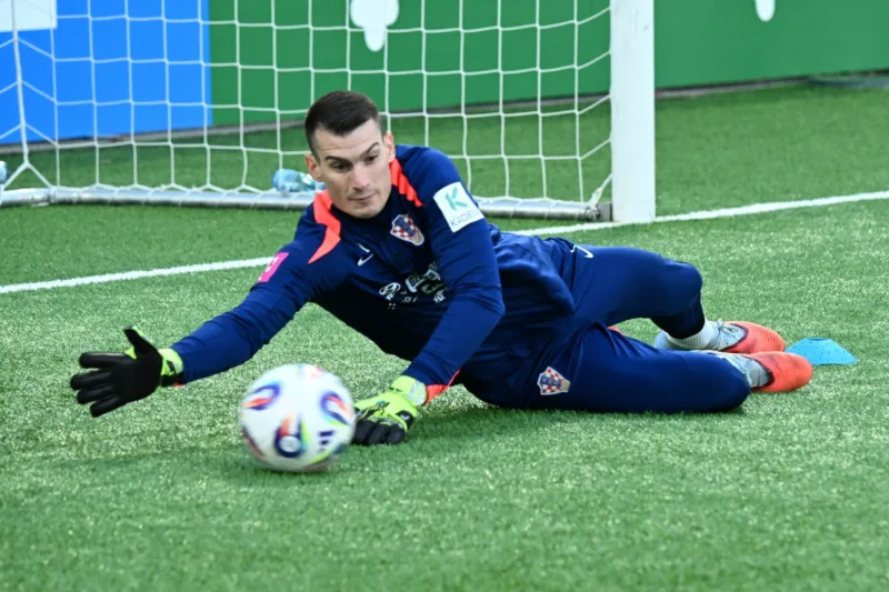 Livakovic