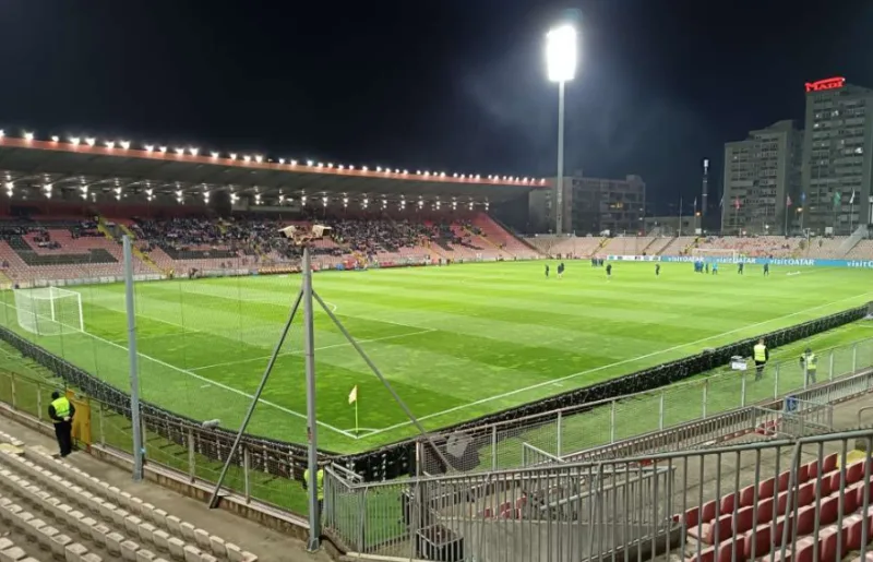 Zenica bilino pojle 4