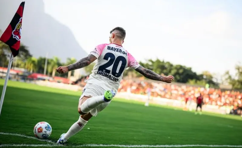 Grimaldo 6