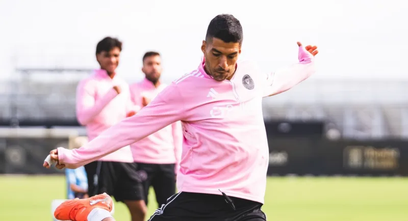 Suarez