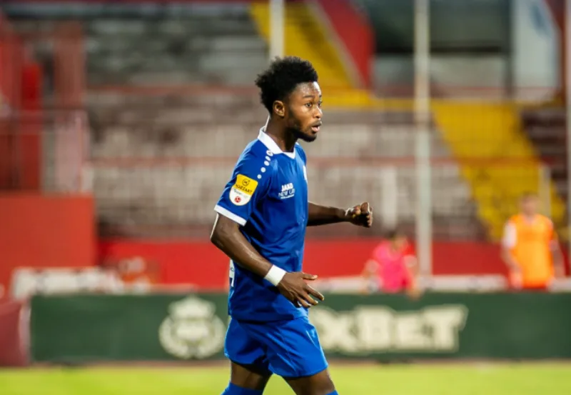 Owusu surdulica 3