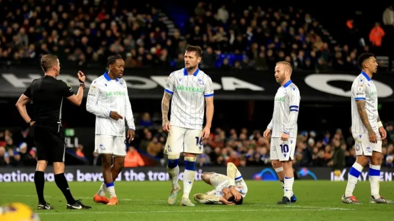 Sheffield wednesday
