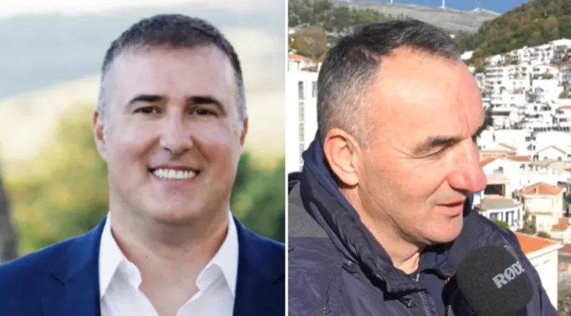 Mirvic brkovic