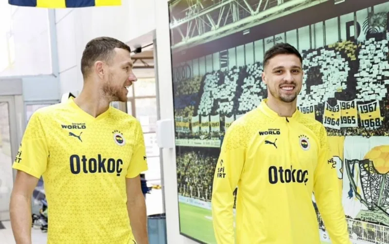 Dzeko krunic