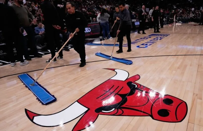 Bulls