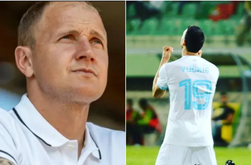 Ibricic vuckic 1