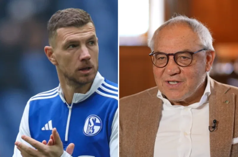 Dzeko magath 1