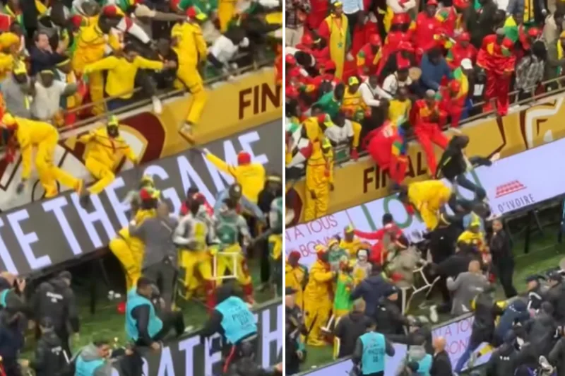 Afcon 3