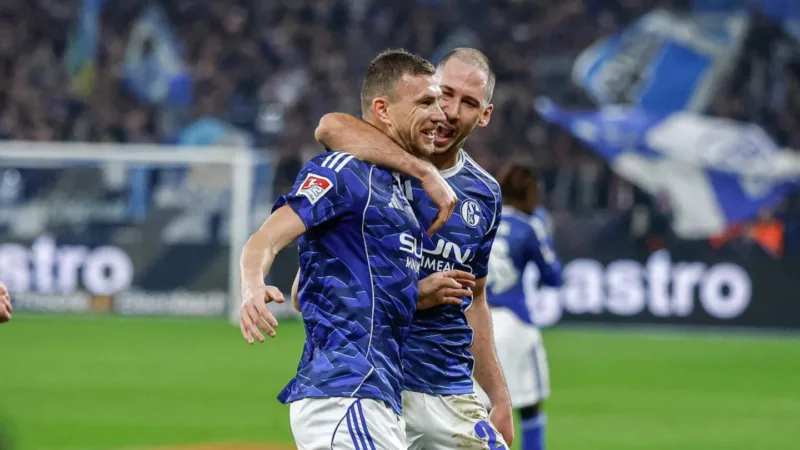Dzeko katic 0912