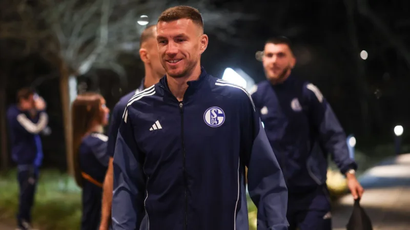 Dzeko 009808