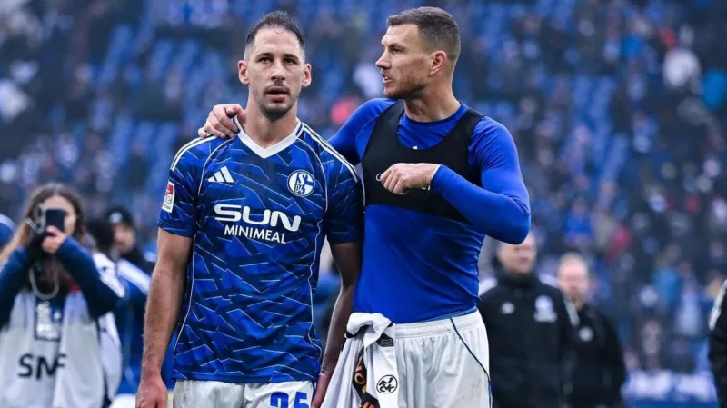 Dzeko katic 231