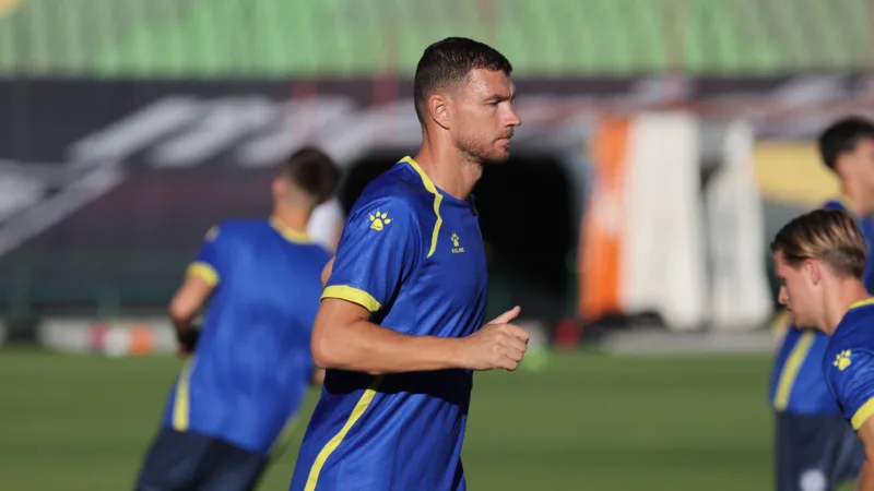 Dzeko 3921312
