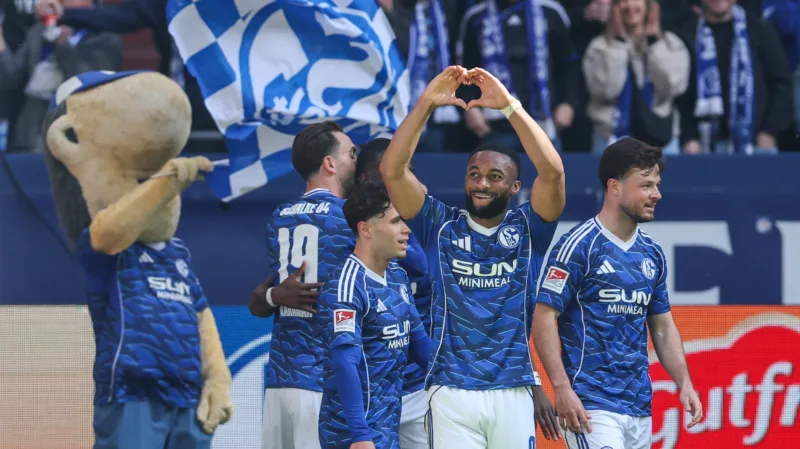 Schalke 21312
