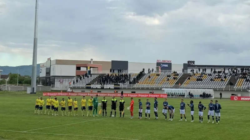 Zeljo rudar
