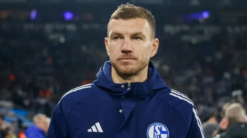 Dzeko 218321