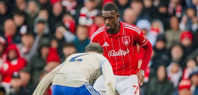 Hudson odoi villa forest