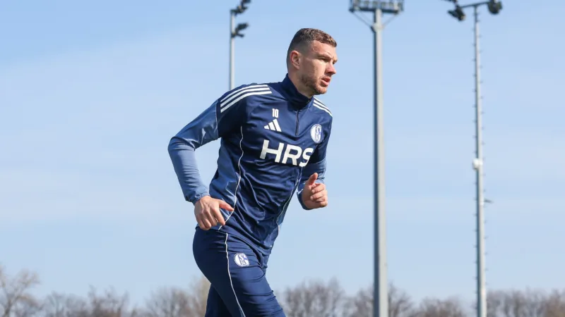 Dzeko 12321