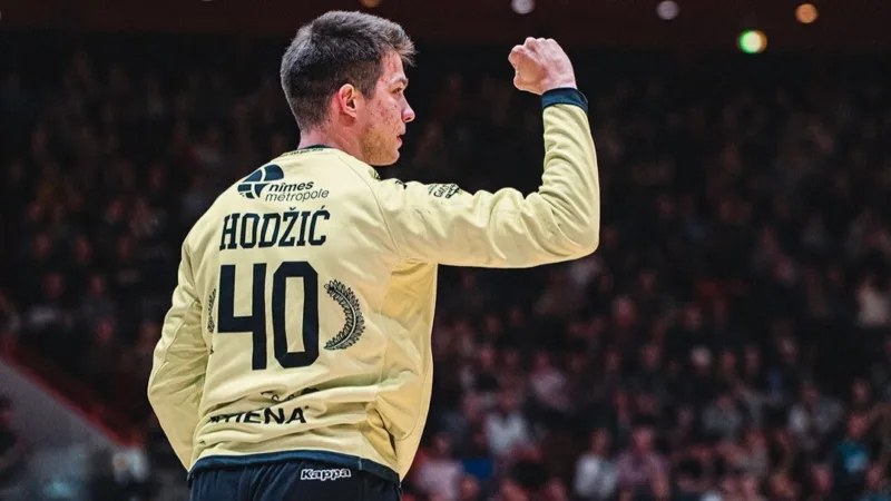Harun hodzic 231