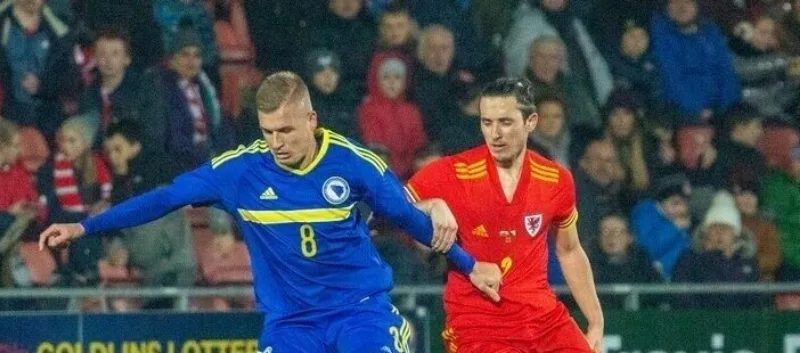 Danilovic 12