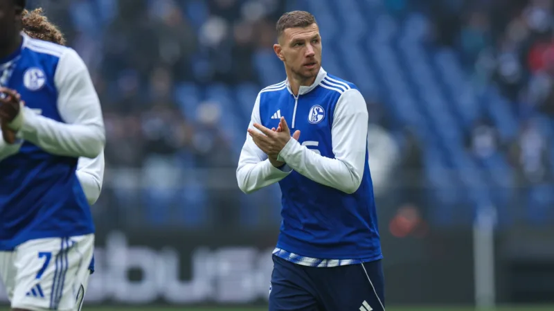 Dzeko0293