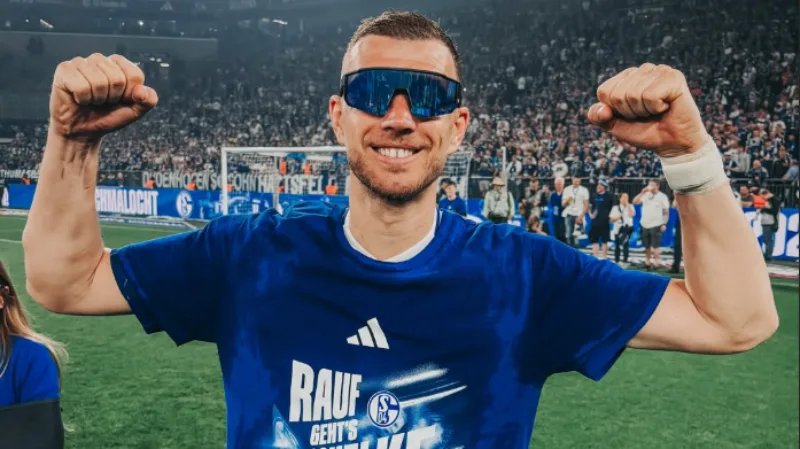 Dzeko 231