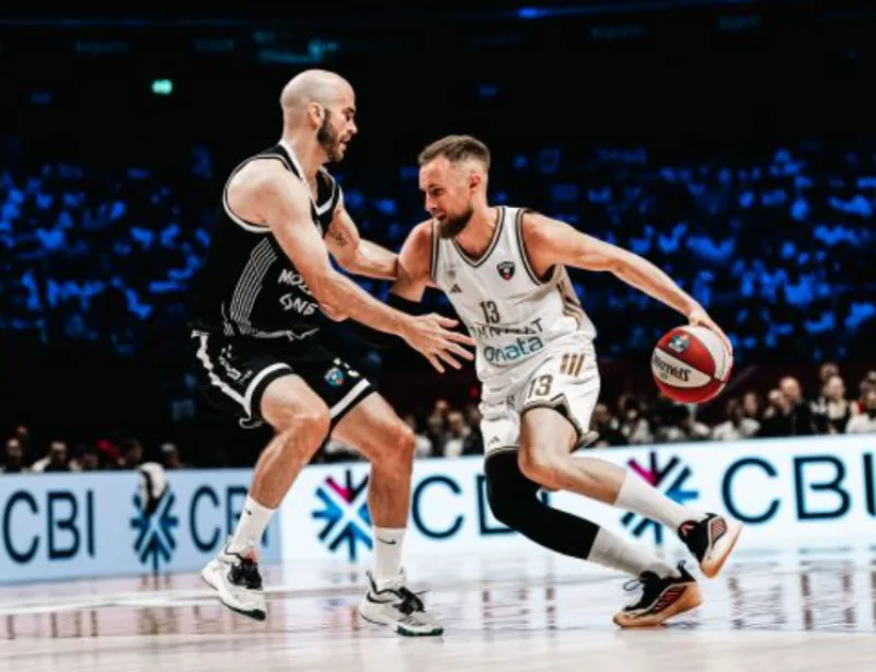 Musa calathes dibai 1