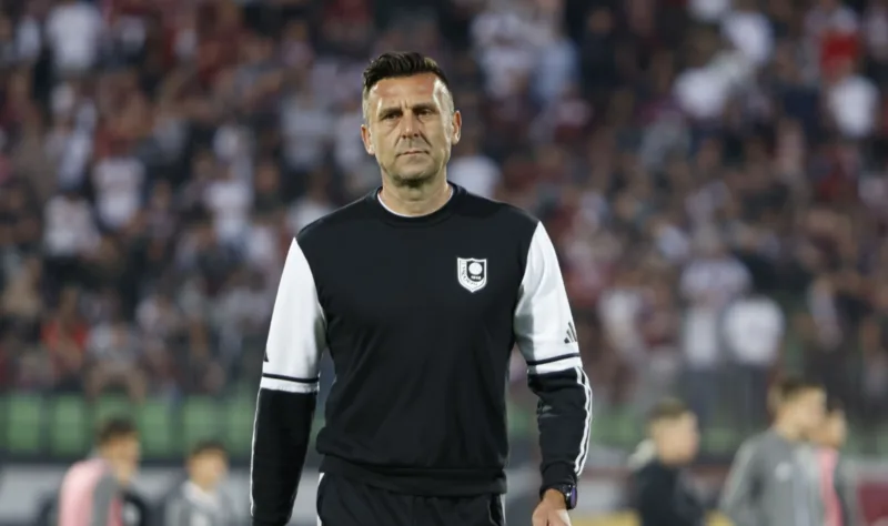 Cvitanocvic 45