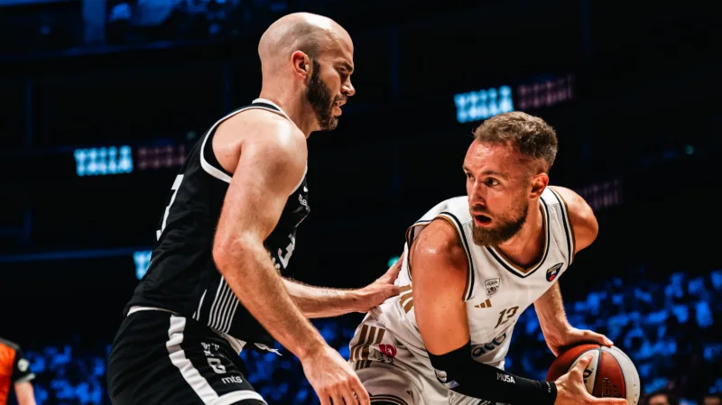 Musa calathes dubai partizan