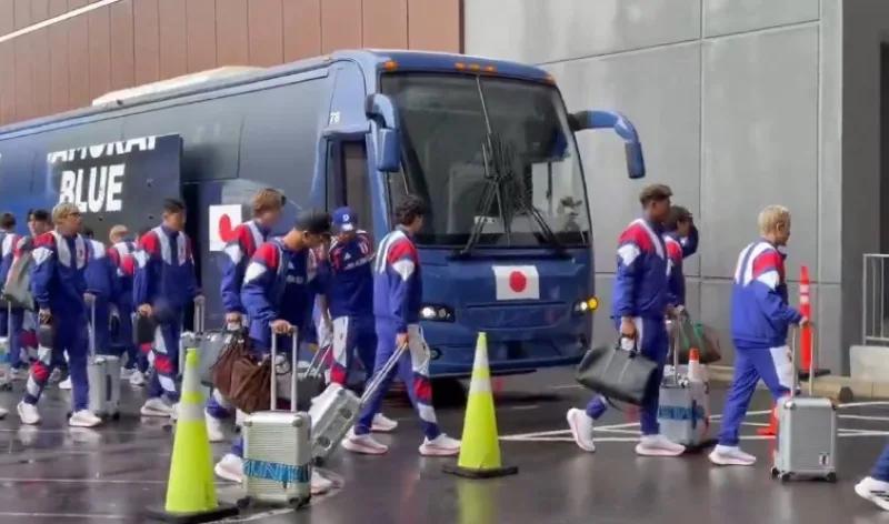 Japanci sp