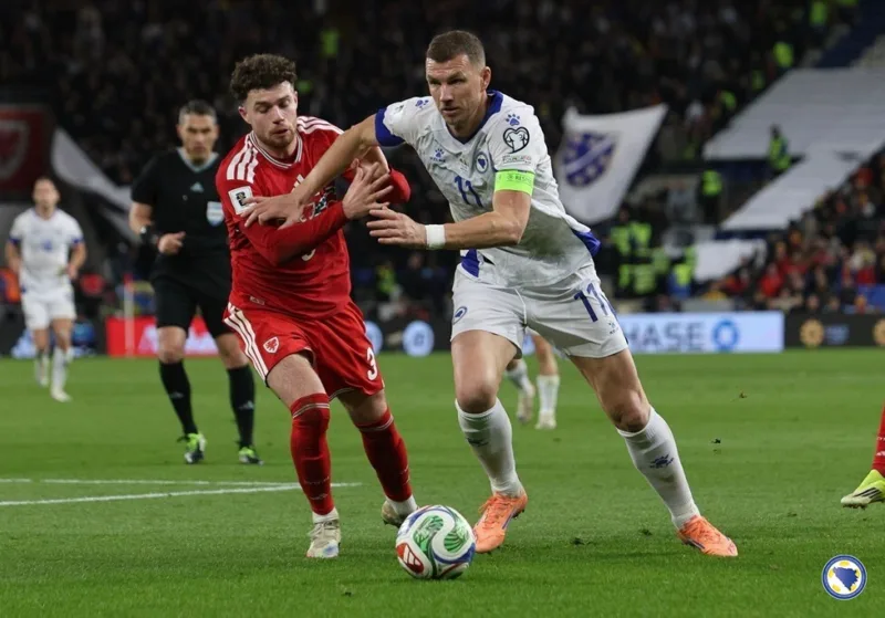 Dzeko nfsbih