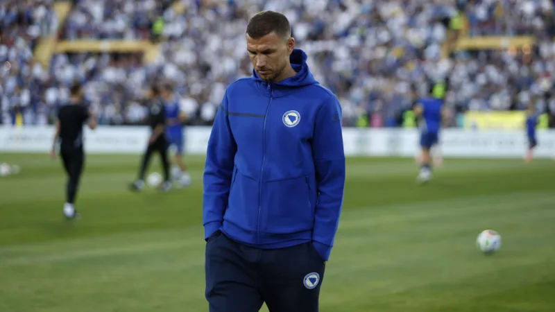 Dzeko fena 2932