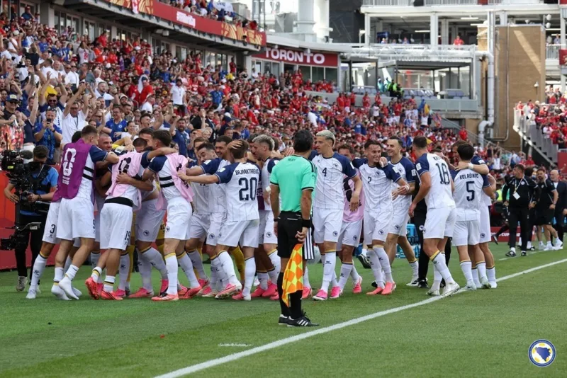 Repka nfsbih