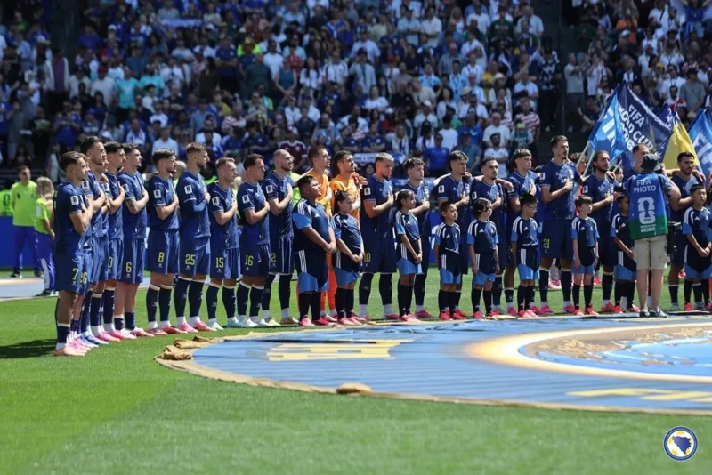 Zmajevi nfsbih