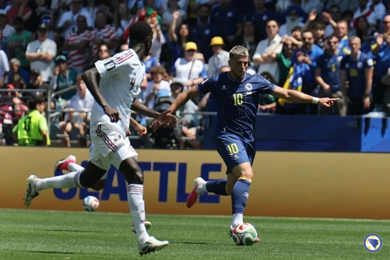 Demirovic nfsbih