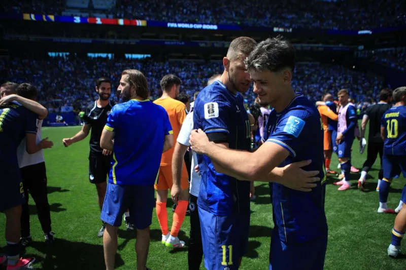 Dzeko alajbegovic zmajevi bih katar