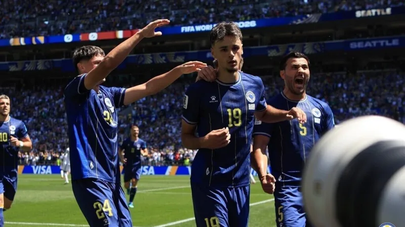 Alajbegovic nfsbih