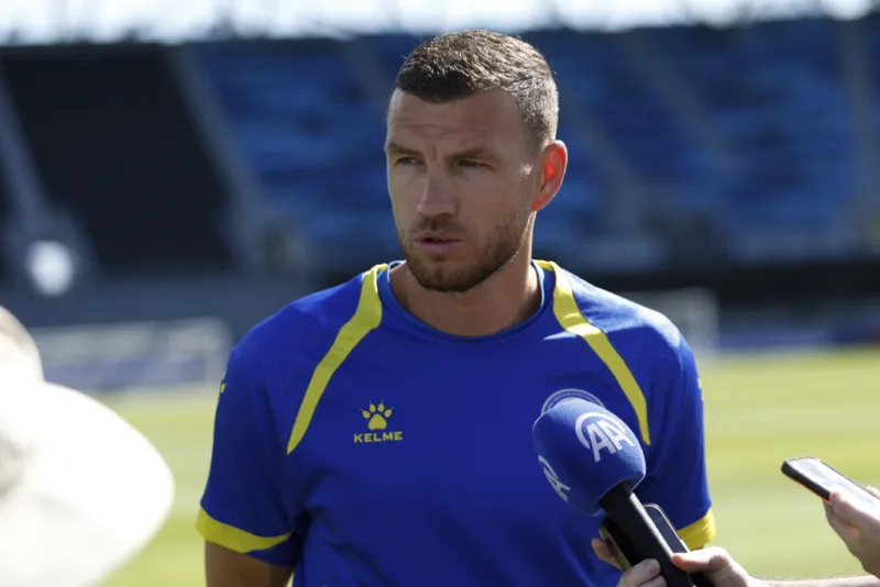 Dzeko fena